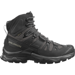 Salomon Men's Quest 4 Gore-Tex in Magnet