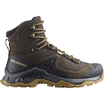 Salomon Men's Quest Element Gore-Tex in Delicioso