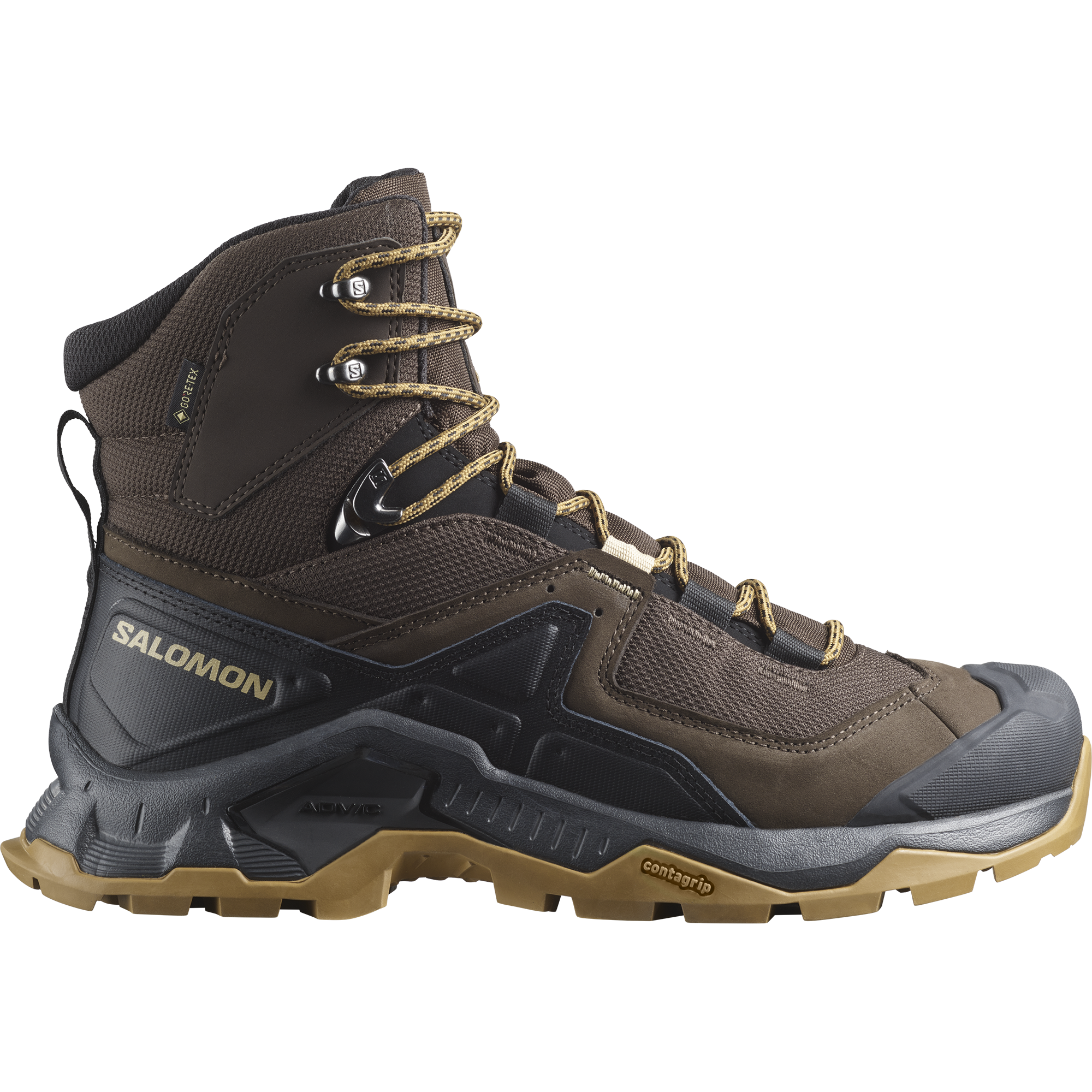 Salomon Men's Quest Element Gore-Tex in Delicioso