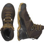 Salomon Men's Quest Element Gore-Tex in Delicioso