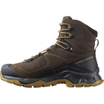 Salomon Men's Quest Element Gore-Tex in Delicioso