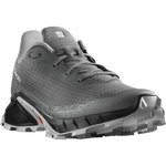 Salomon Men's Alphacross 5 Gore Tex in Pewter