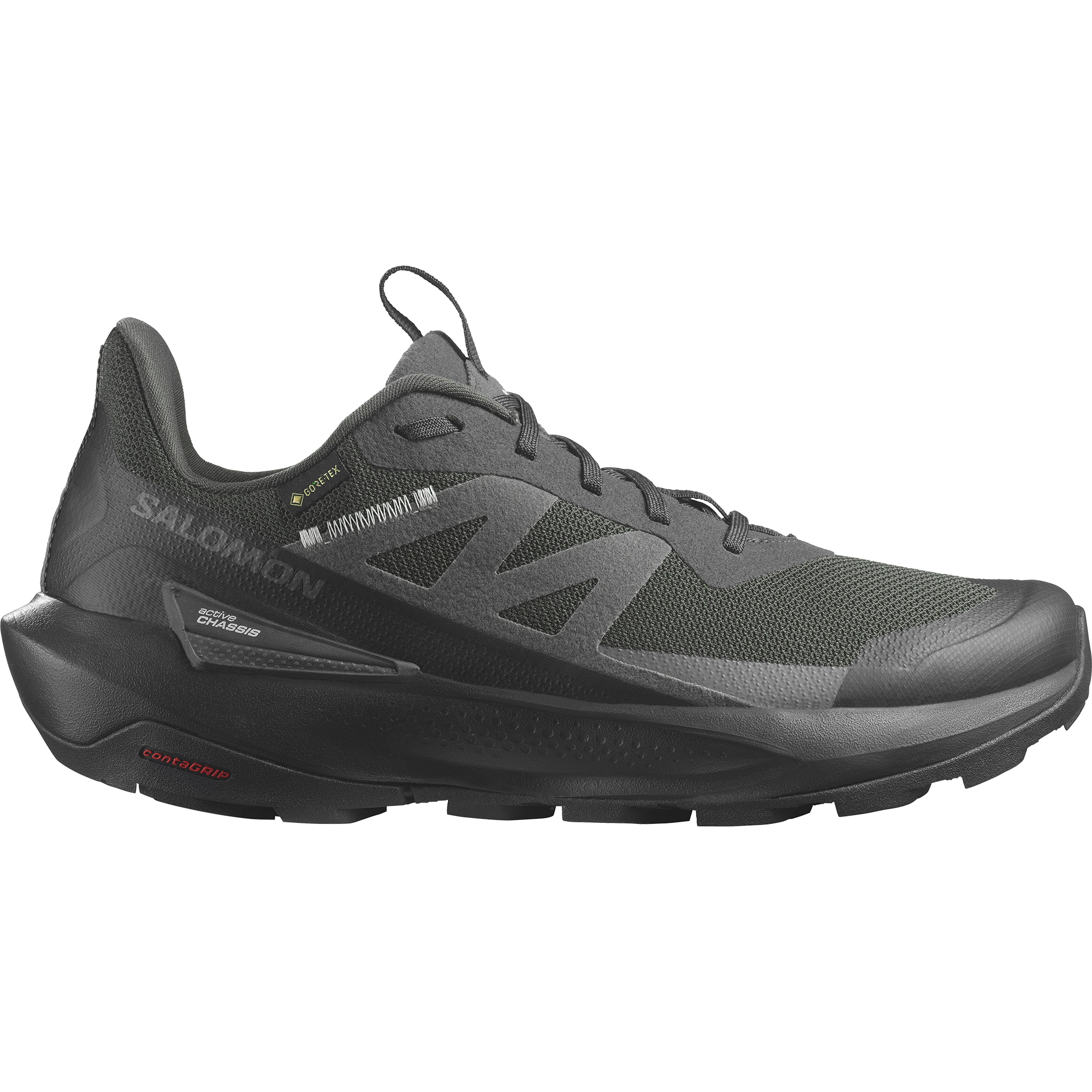 Salomon Men's Elixir Active Gore-Tex in Phantom