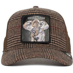 Elephant Extra Large In The Room Trucker Hat